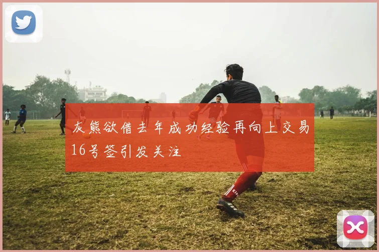 灰熊欲借去年成功经验再向上交易16号签引发关注