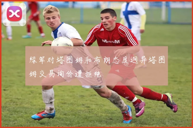 绿军对塔图姆和布朗态度迥异塔图姆交易询价遭拒绝