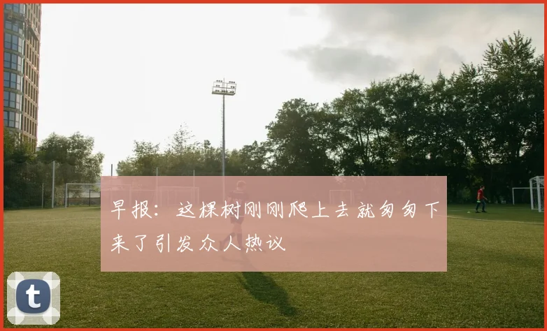 早报：这棵树刚刚爬上去就匆匆下来了引发众人热议